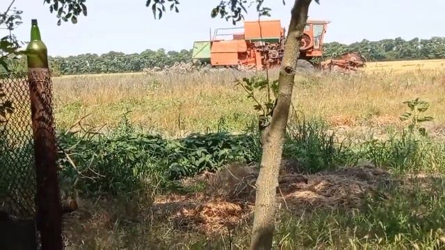 Утро и какой творог получился. День: началась уборочная на полях. Вечер: Пеку хлеб. смотреть онлайн