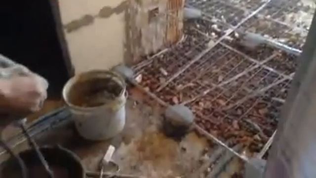 Ремонт квартиры в ЖК "Переделкино Ближнее" смотреть онлайн