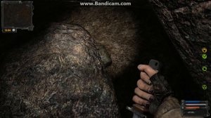 S.T.A.L.K.E.R. Ветер времени. Пространственный пузырь. Пропавшие учёные.