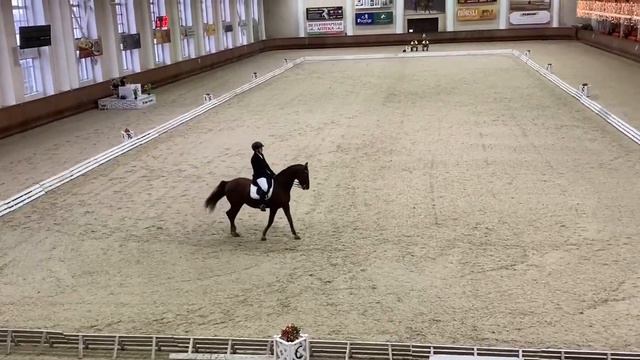 13.01.2023 Муравейник Кирилл Венсаль