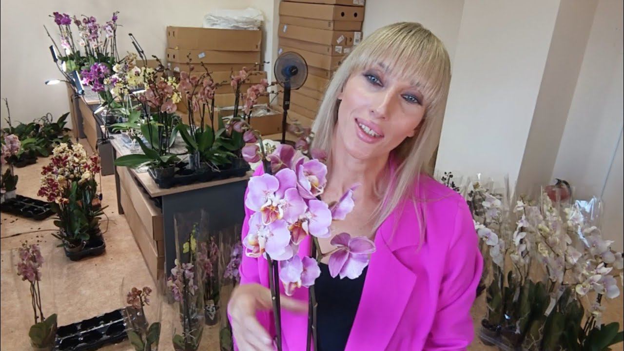 Распаковка новой поставки орхидей. На Рутуб трансляции не получилось( смотреть онлайн