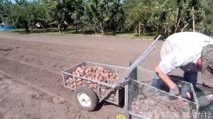 Картофелекомбайн к мотоблоку. Уборка картофеля 12 ведер за 7 минут. Мотоблок копает, собирает, везе