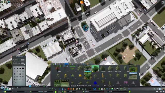 Using Parks, Services and Roadway Planning to Get Cims to Move into Your City | Clearwater County 5 смотреть онлайн