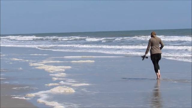 Surfside Beach Using Canon Powershot SX520HS смотреть онлайн