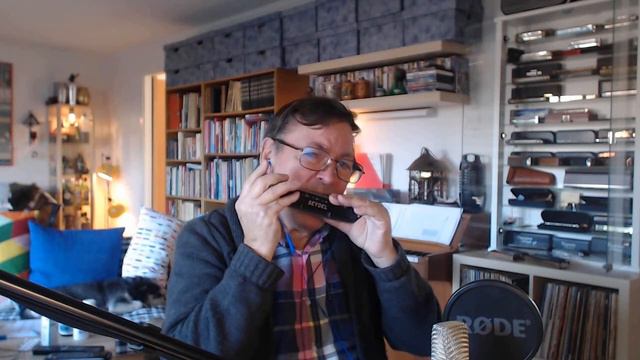 Perfidia - chromatic harmonica смотреть онлайн