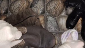 Выступает СОЛЬ НА ОБУВИ: как убрать соль с замшевой и кожаной обуви