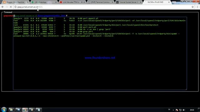 Tutorial Socket Server With Perl смотреть онлайн