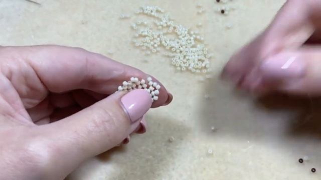 Сиамская кошечка Часть 1 из 5 смотреть онлайн