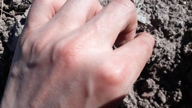 КОП с Garrett ace 250 или МОНЕТЫ ПОД ПОЛОМ смотреть онлайн