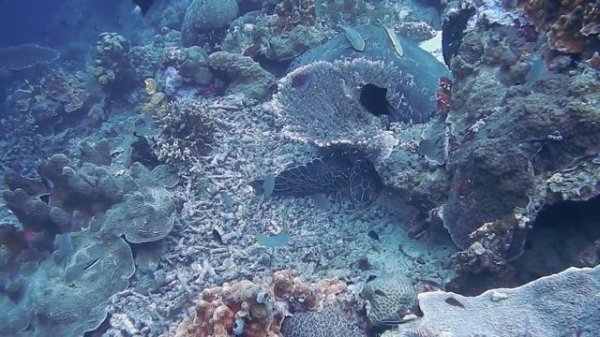 Happy Background - Fun by @Alex - Productions