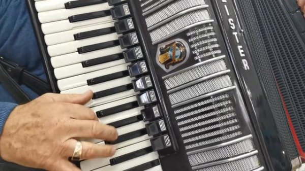 Accordion Weltmeister S4 - 120 bass double cassotto LMMH (1)