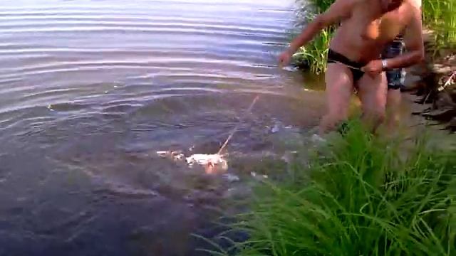 Сом 175 см 40 кг смотреть онлайн