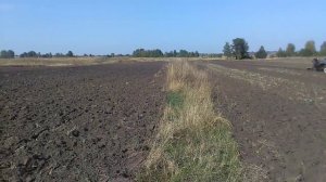 Два гектара мотоблоком!