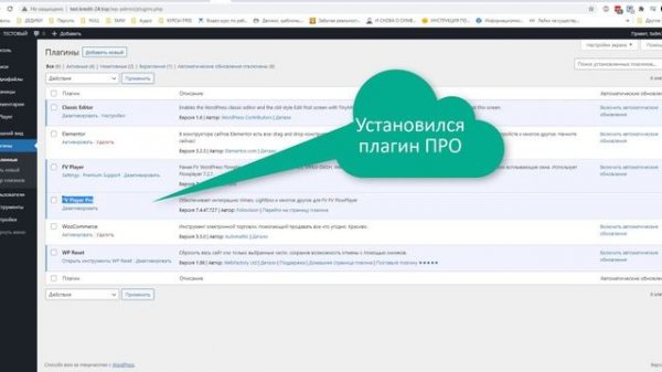 FV Flowplayer Pro — плагин видео плеера