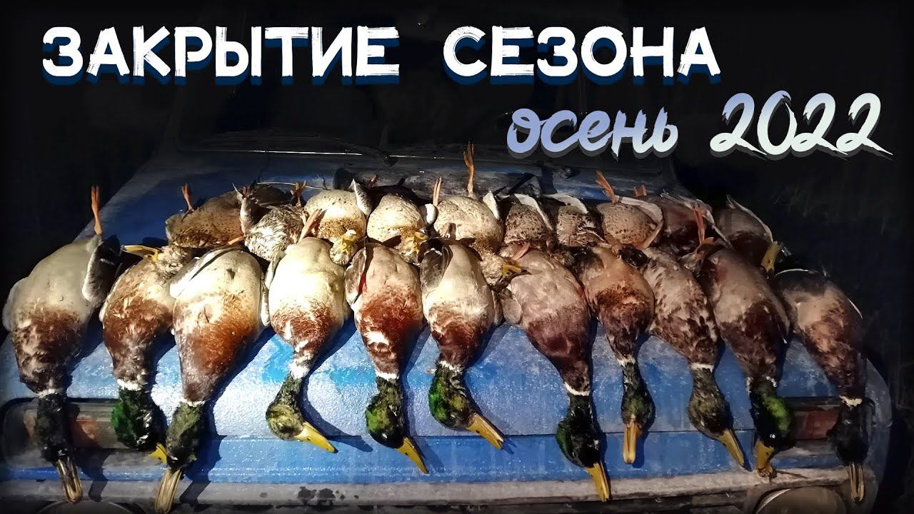 Лучшая охота на крякаша в моей жизни! От манка утки сходили с ума смотреть онлайн