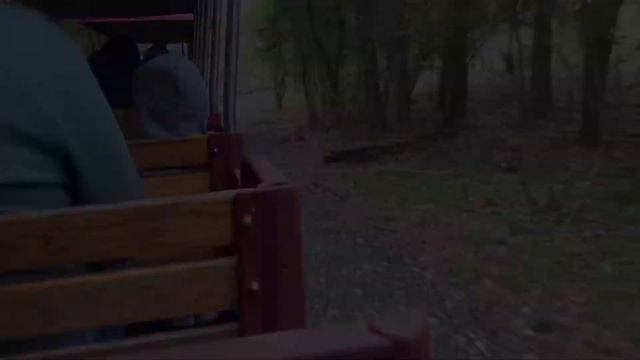 The San Antonio Zoo Train смотреть онлайн