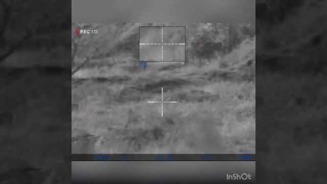 Охота ночью на шакала смотреть онлайн