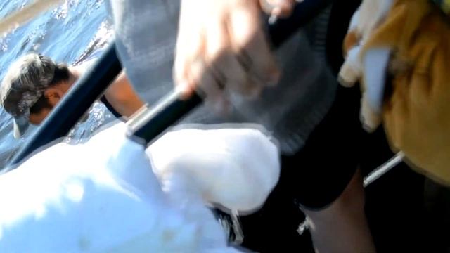 гора ослянка смотреть онлайн