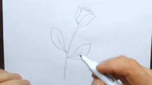 Как очень легко нарисовать розу - Очень легкий способ нарисовать розу - Рисуем розу на 8 марта