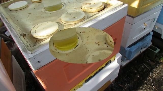 весенний осмотр пчел, корма мало, пыльцы мало, пополнил корма, поставил воду смотреть онлайн