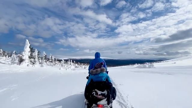 зимний Печоро-Илычский Заповедник. едем к Маньпупунёр