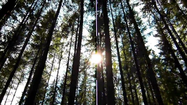 Русятка (ВЯЗЬМА) [07.05.2012] 2 смотреть онлайн