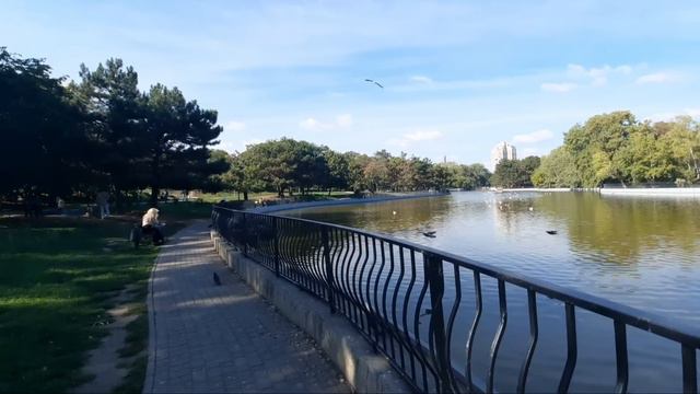 Одесса 5 минут назад. ТАКОГО ЕЩЁ НЕ БЫЛО! ЧТО ПРОИСХОДИТ В ГОРОДЕ! смотреть онлайн