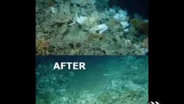 SAINT MAGDALENE OF NAGASAKI смотреть онлайн