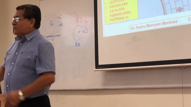 Clase 3 micro-Staphylococcus/Streptococcus (1/2) смотреть онлайн