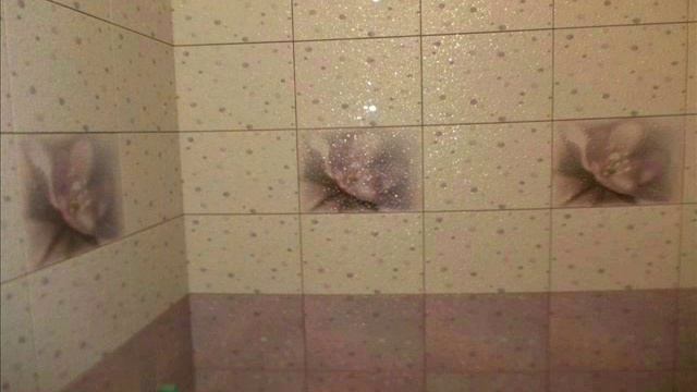 Плиточник (Укладка плитки) ГАРАНТИЯ 25 ЛЕТ !!! смотреть онлайн