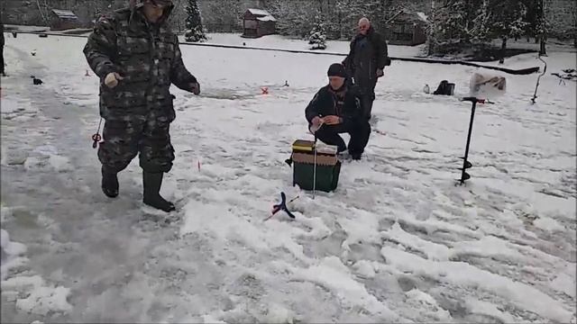 На запуске работают активные и пассивные снасти. Нижний пруд. Клёвое место Лосиный остров. смотреть онлайн