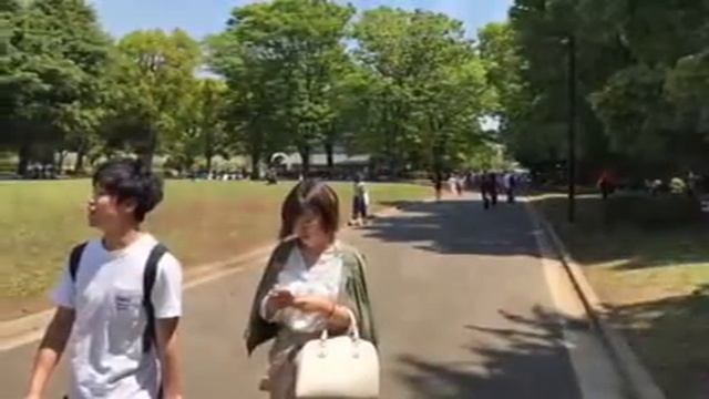 Токио, Киото смотреть онлайн