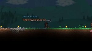 Истинный МАГ в Террарии (2/3)