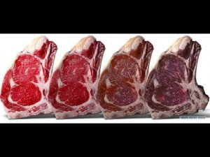 ВЫЗРЕВАНИЕ СТЕЙКОВ В ХОЛОДИЛЬНИКЕ/Пробуем стейки 7-дневной и 21-дневной выдержки/Сухое вызревание