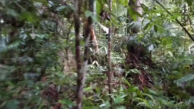 Trip Sg.Liang | Raub | Pahang | Part 1 смотреть онлайн