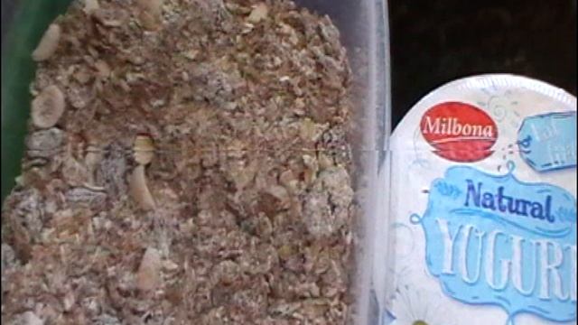 Мюсли-лучший завтрак.Мюсли с фруктами и ягодами. смотреть онлайн