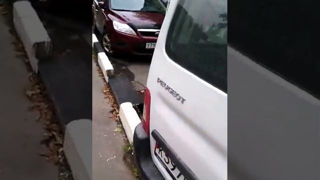 Peugeot Partner ( пежо партнер )