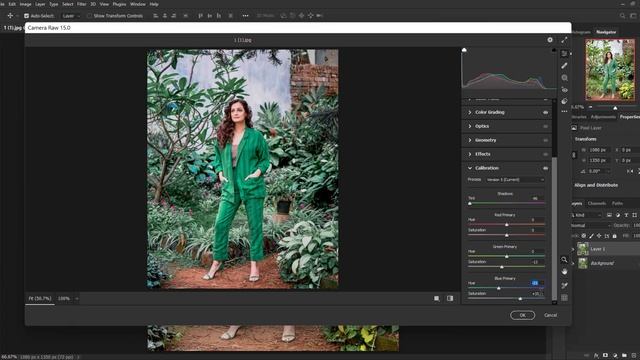 Moody Dark Green Preset | Photoshop Preset XMP & DNG | Free Preset Download