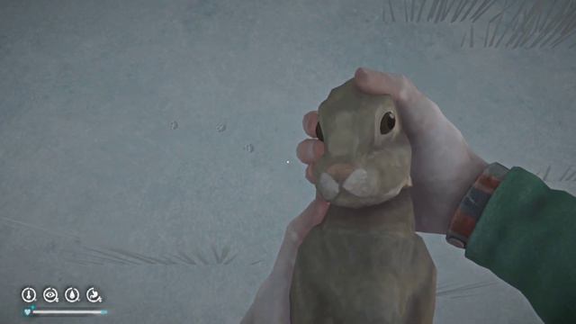 Hunting Rabbits And Cooking Meals | The Long Dark Survival In 2022 | Part 15 смотреть онлайн