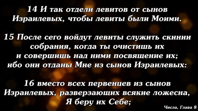 Библия | Числа, Глава 8. смотреть онлайн