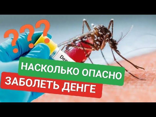 Лихорадка Денге на Филиппинах | Опасно ли болеть? Какие последствия? Что ждёт иностранца в Азии? смотреть онлайн