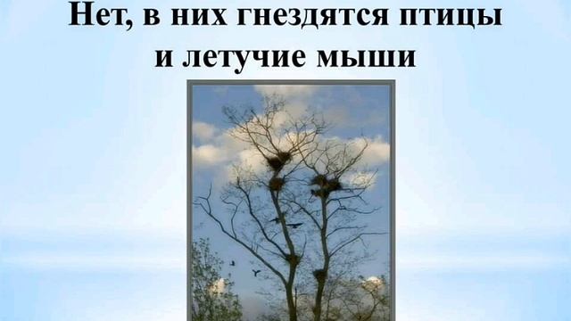Всемирный день окружающей среды! День Эколога! смотреть онлайн