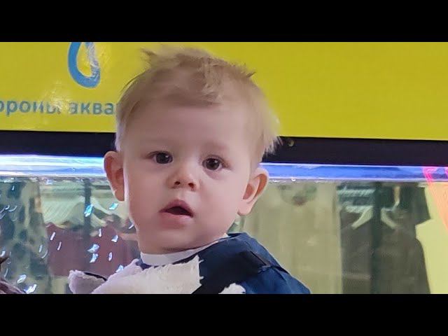 Филипок, близок "локоток" да не укусишь смотреть онлайн