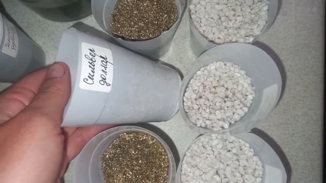 Черенкование гортензии. Анабель, Сильвер Доллар, Сандей Фрайз, Самарская Лидия смотреть онлайн