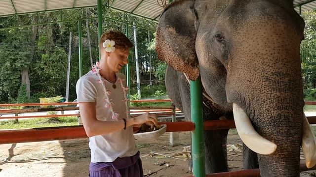 Победитель Битвы Экстрасенсов Гиберт Виталий о 2017 годе...что нас ждёт? смотреть онлайн