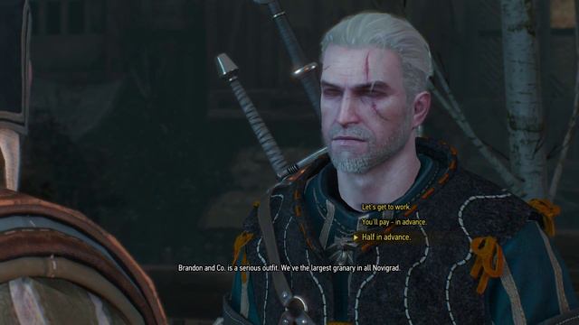 The Witcher 3 Pyres of Novigrad Part 2 смотреть онлайн