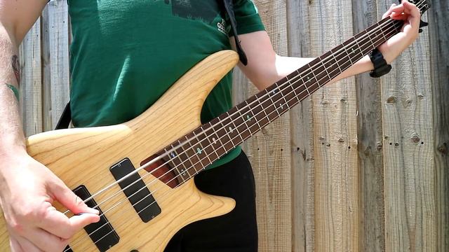 Angry Inch - Type O Negative (Bass Cover) смотреть онлайн