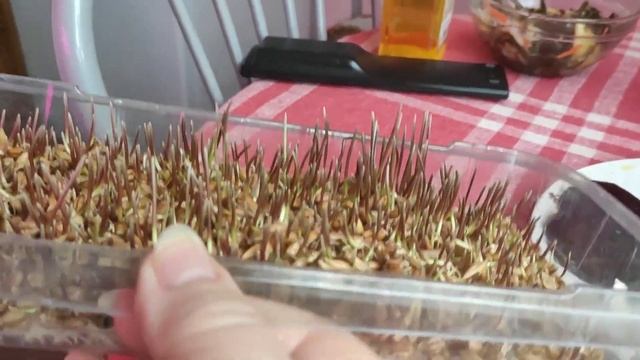 Морковные котлетки,?так вкусно! смотреть онлайн