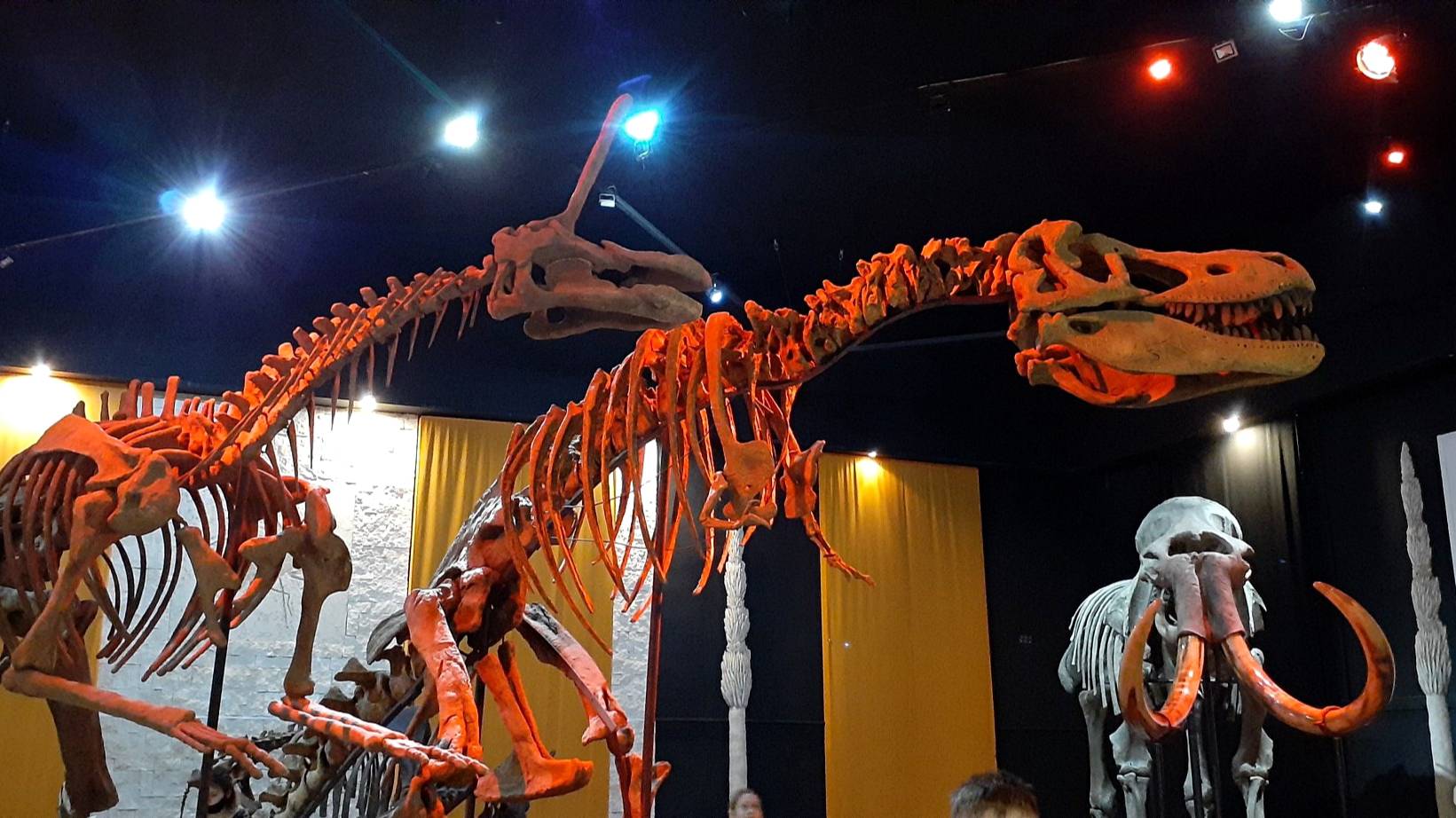 Россия. Пермь. Музей Пермских древностей смотреть онлайн