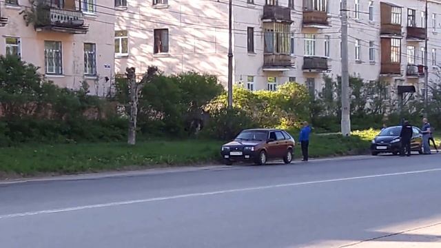 Лось в Березниках, 21.05.2016 смотреть онлайн